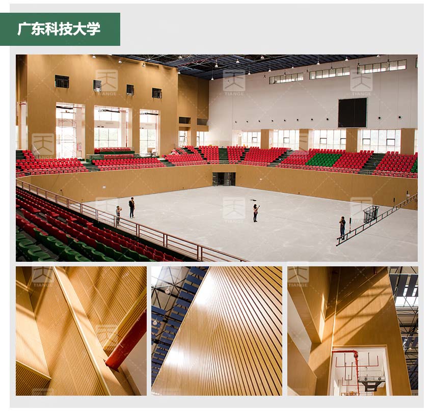 演播室槽木吸音板體育館工程案例 演播室槽木吸音板體育館工程案例
