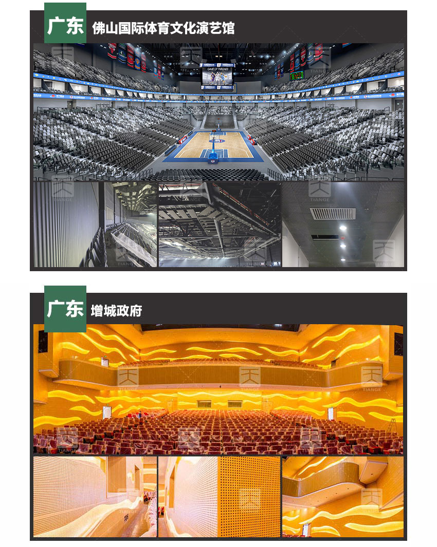 木紋穿孔吸音板體育館案例 木紋穿孔吸音板體育館案例