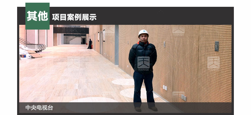 木質微孔吸音板工程案例 木質微孔吸音板工程案例