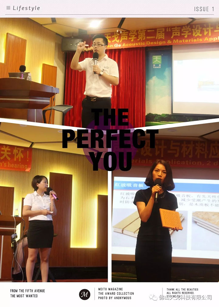 天戈聲學專利產品介紹及運用