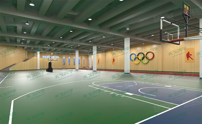 湖南長沙財經學院體育館聲學設計工程